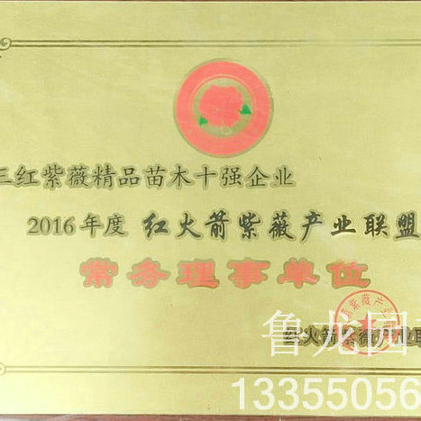 红火箭联盟常务理事单位
