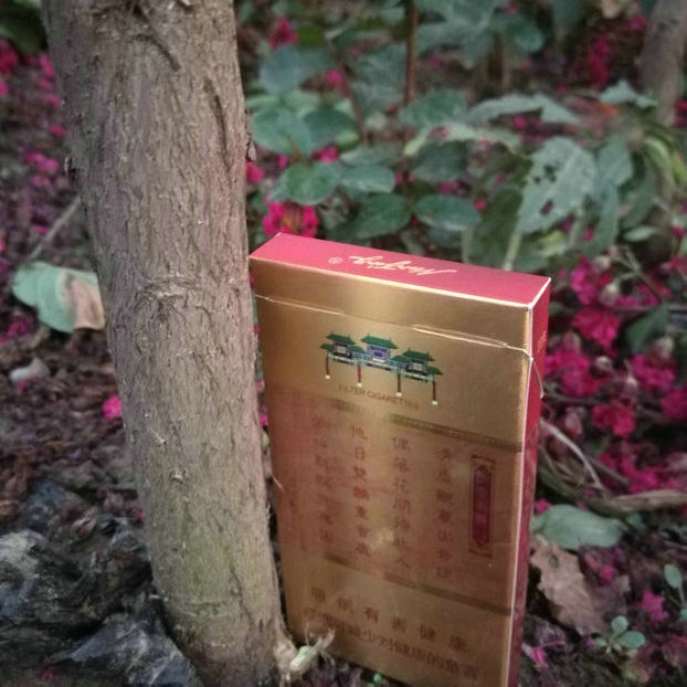 年生长1.5-2厘米粗度