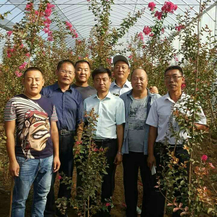 十强弟兄交流
