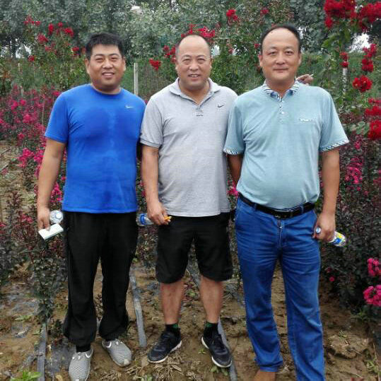 十强队伍汇聚任县