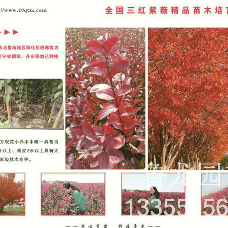 我们只做精品