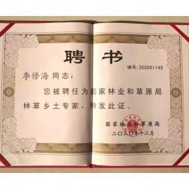 乡土专家