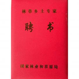乡土专家