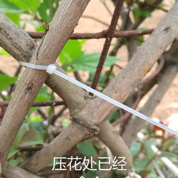 花瓶